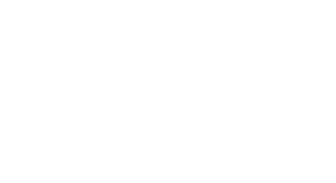 CamteX